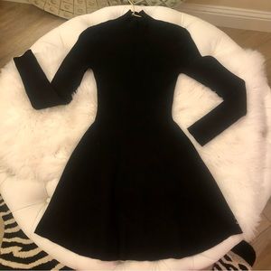 Zara long sleeve turtneck knit fitted skater dress Large